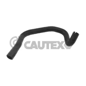 036764 CAUTEX