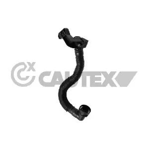 775918 CAUTEX