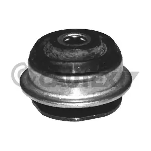 755399 CAUTEX