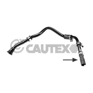 753384 CAUTEX