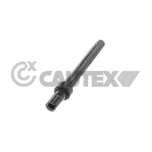011386 CAUTEX