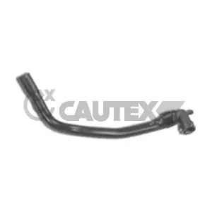 031351 CAUTEX