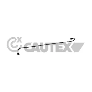 773528 CAUTEX