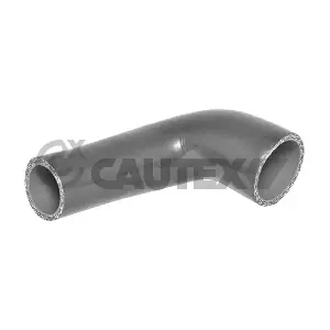 754549 CAUTEX
