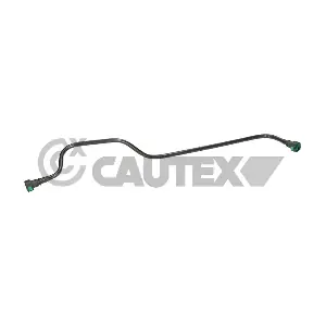 777520 CAUTEX
