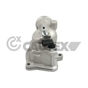 750864 CAUTEX