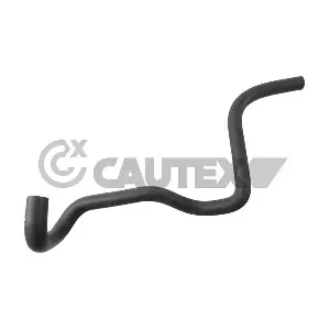 769961 CAUTEX
