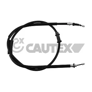 017761 CAUTEX