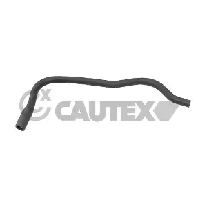 036359 CAUTEX