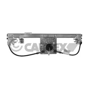 017362 CAUTEX