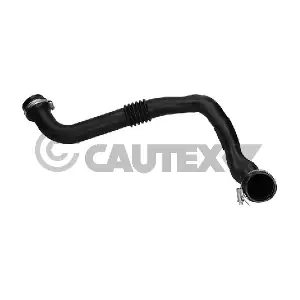 771236 CAUTEX