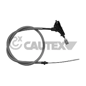 038513 CAUTEX