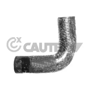 765584 CAUTEX