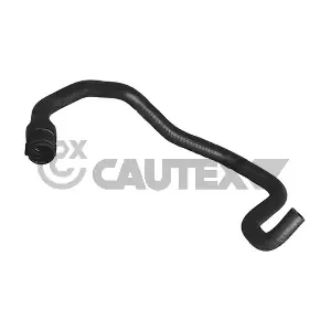 036736 CAUTEX