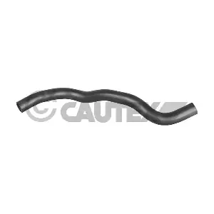 016353 CAUTEX