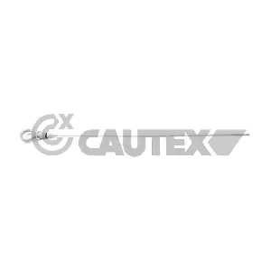 757728 CAUTEX