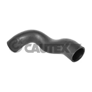 754504 CAUTEX