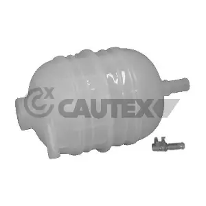 031132 CAUTEX