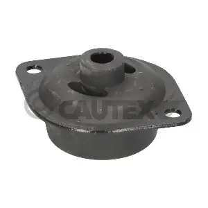 010404 CAUTEX