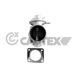 772076 CAUTEX