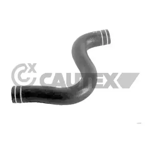 754317 CAUTEX