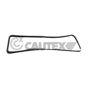 769247 CAUTEX