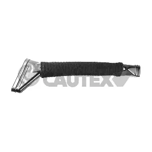 773678 CAUTEX