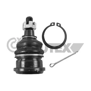 755081 CAUTEX