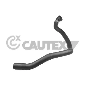 775449 CAUTEX