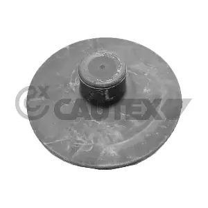 021308 CAUTEX