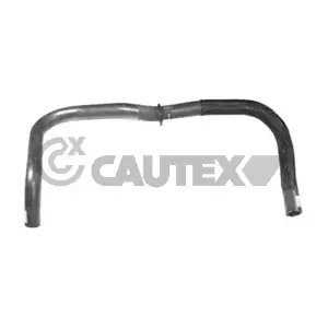 036798 CAUTEX