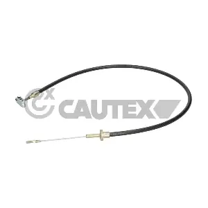 81111 CAUTEX