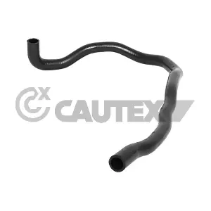 753311 CAUTEX