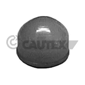 010615 CAUTEX