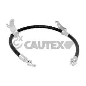 756124 CAUTEX