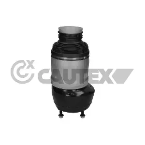 752953 CAUTEX
