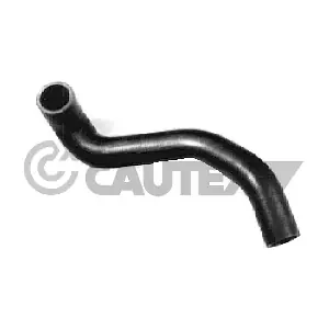 CAUTEX 026446