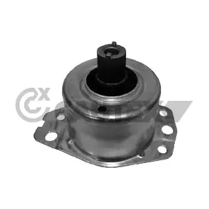 756099 CAUTEX