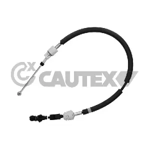 772598 CAUTEX