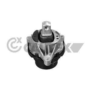 775995 CAUTEX