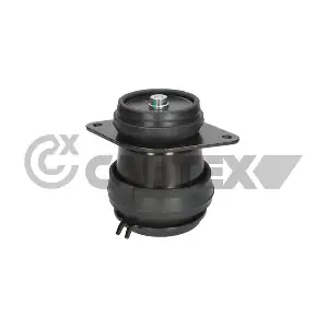 775193 CAUTEX