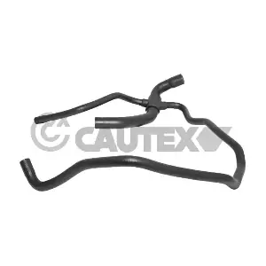 773563 CAUTEX