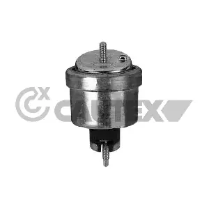 480493 CAUTEX