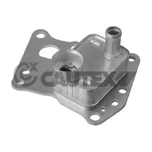 751764 CAUTEX