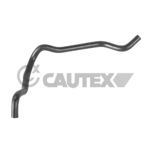 486544 CAUTEX