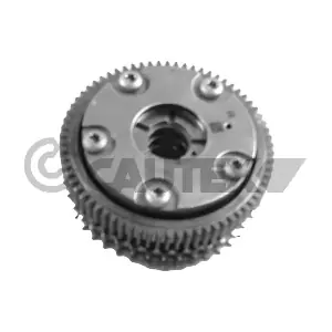 771524 CAUTEX