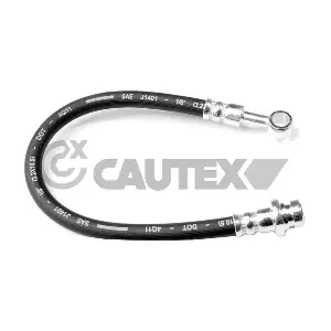 756254 CAUTEX