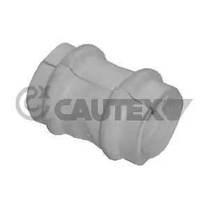 030078 CAUTEX
