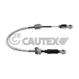 766486 CAUTEX
