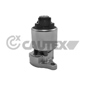 770103 CAUTEX